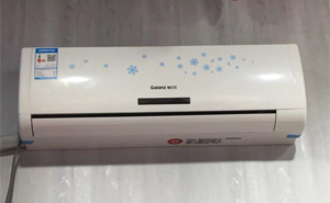 ���m�˿��{����